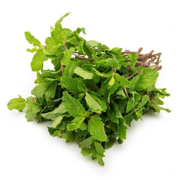Mint Leaves (পুদিনা পাতা) - 1kg